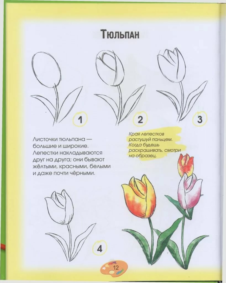 Поэтапное рисование цветов 2 класс презентация